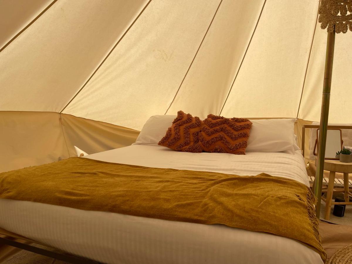 Triple Creek Guest House - Barossa Region Seppeltsfield Εξωτερικό φωτογραφία