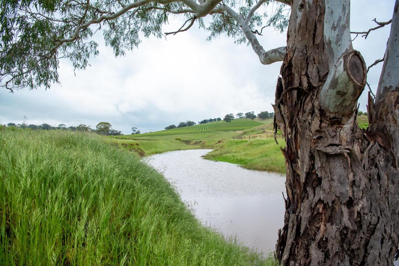 Triple Creek Guest House - Barossa Region Seppeltsfield Εξωτερικό φωτογραφία