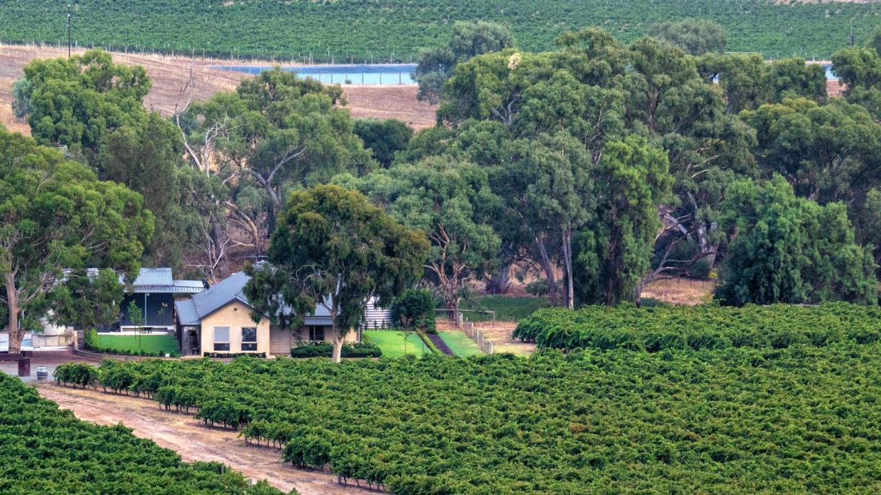 Triple Creek Guest House - Barossa Region Seppeltsfield Εξωτερικό φωτογραφία